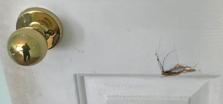 interior door hole repair Walnut